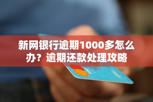 新网银行逾期1000多怎么办？逾期还款处理攻略