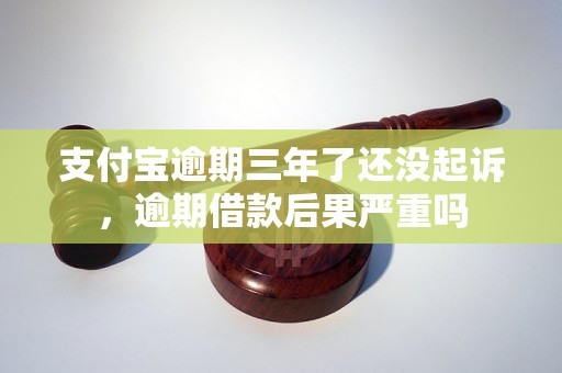 支付宝逾期三年了还没起诉，逾期借款后果严重吗