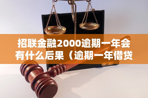 招联金融2000逾期一年会有什么后果（逾期一年借贷风险分析）