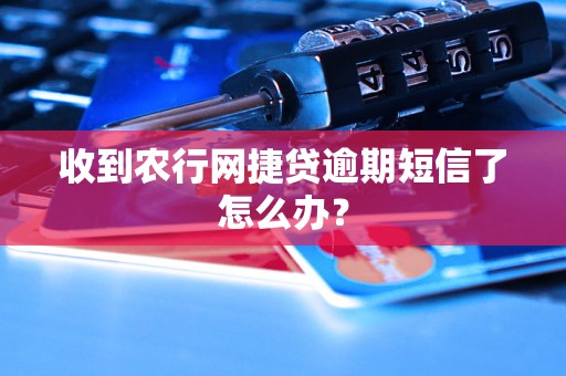 收到农行网捷贷逾期短信了怎么办？