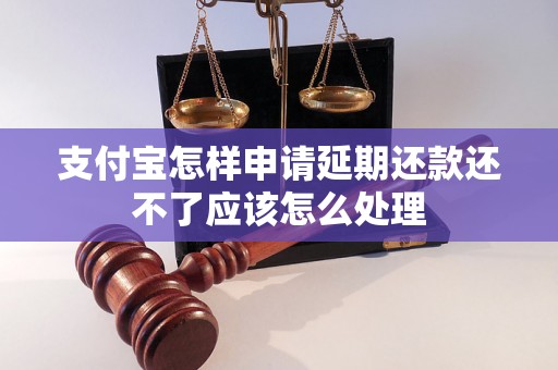 支付宝怎样申请延期还款还不了应该怎么处理