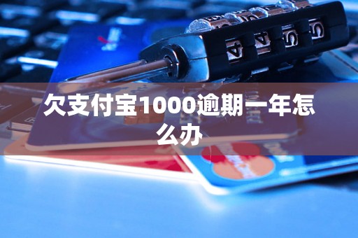 欠支付宝1000逾期一年怎么办