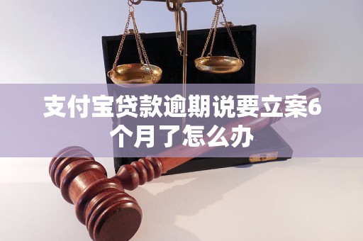 支付宝贷款逾期说要立案6个月了怎么办