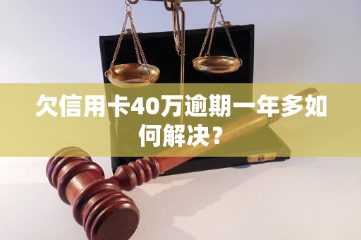 欠信用卡40万逾期一年多如何解决？