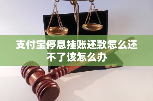 支付宝停息挂账还款怎么还不了该怎么办