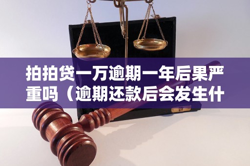 拍拍贷一万逾期一年后果严重吗（逾期还款后会发生什么）