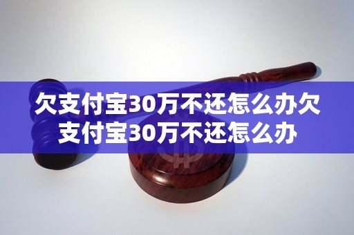 欠支付宝30万不还怎么办欠支付宝30万不还怎么办