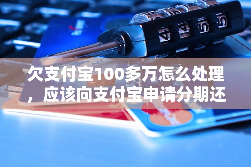 欠支付宝100多万怎么处理，应该向支付宝申请分期还款吗？