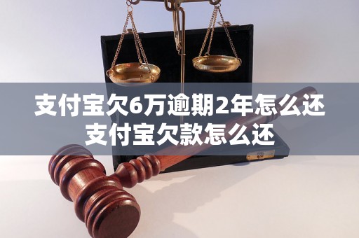 支付宝欠6万逾期2年怎么还支付宝欠款怎么还