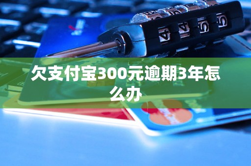 欠支付宝300元逾期3年怎么办