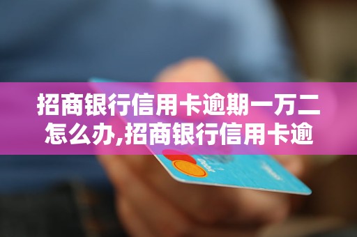 招商银行信用卡逾期一万二怎么办,招商银行信用卡逾期费用计算方法