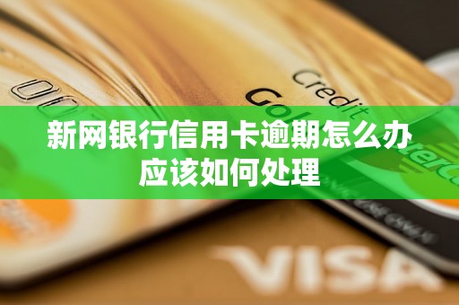 新网银行信用卡逾期怎么办应该如何处理