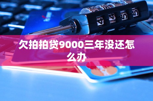 欠拍拍贷9000三年没还怎么办