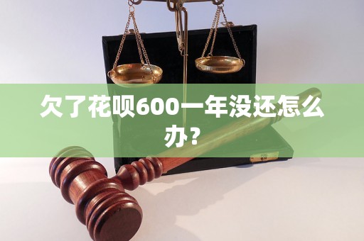 欠了花呗600一年没还怎么办？