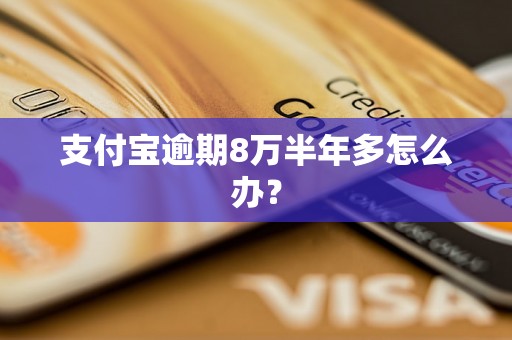 支付宝逾期8万半年多怎么办？