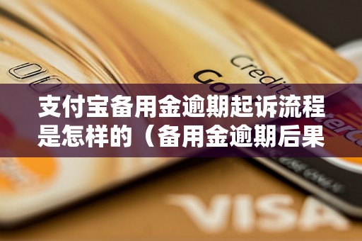 支付宝备用金逾期起诉流程是怎样的（备用金逾期后果及解决方法解析）