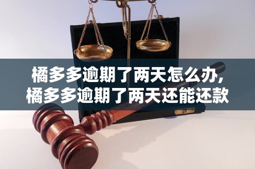 橘多多逾期了两天怎么办,橘多多逾期了两天还能还款吗