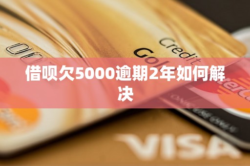 借呗欠5000逾期2年如何解决