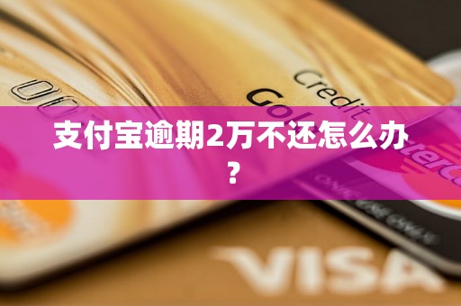 支付宝逾期2万不还怎么办？