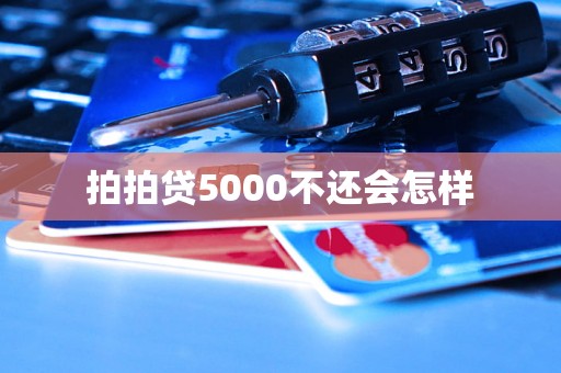 拍拍贷5000不还会怎样