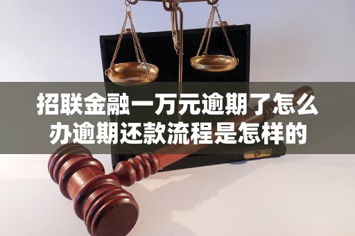 招联金融一万元逾期了怎么办逾期还款流程是怎样的