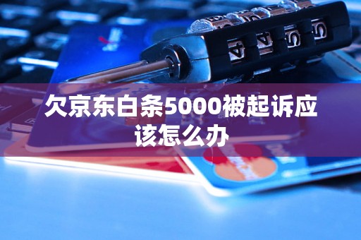 欠京东白条5000被起诉应该怎么办