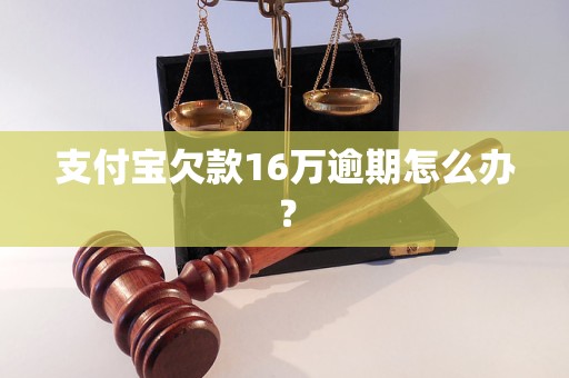 支付宝欠款16万逾期怎么办？