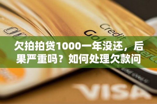 欠拍拍贷1000一年没还，后果严重吗？如何处理欠款问题？