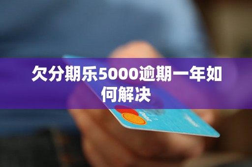 欠分期乐5000逾期一年如何解决