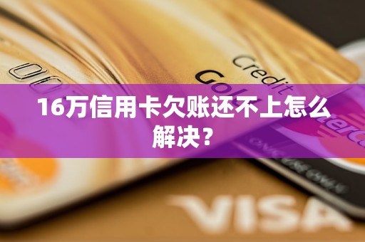 16万信用卡欠账还不上怎么解决？