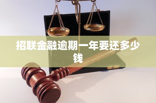 招联金融逾期一年要还多少钱