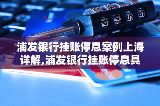 浦发银行挂账停息案例上海详解,浦发银行挂账停息具体实施方法