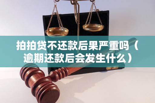 拍拍贷不还款后果严重吗（逾期还款后会发生什么）