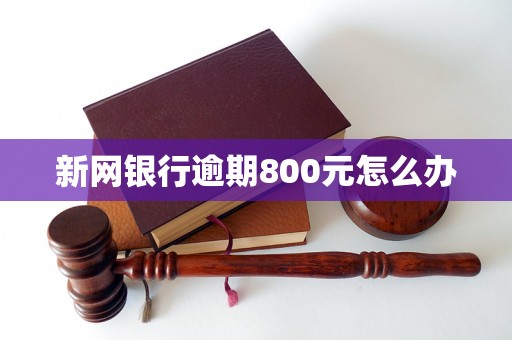 新网银行逾期800元怎么办