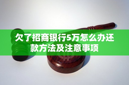 欠了招商银行5万怎么办还款方法及注意事项