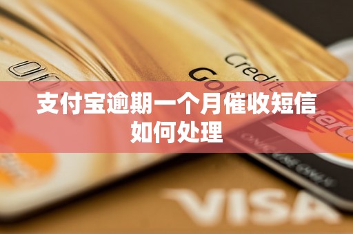 支付宝逾期一个月催收短信如何处理