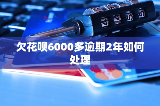 欠花呗6000多逾期2年如何处理