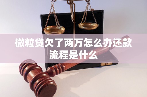 微粒贷欠了两万怎么办还款流程是什么