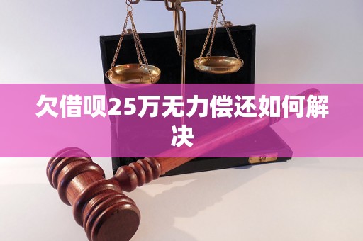 欠借呗25万无力偿还如何解决