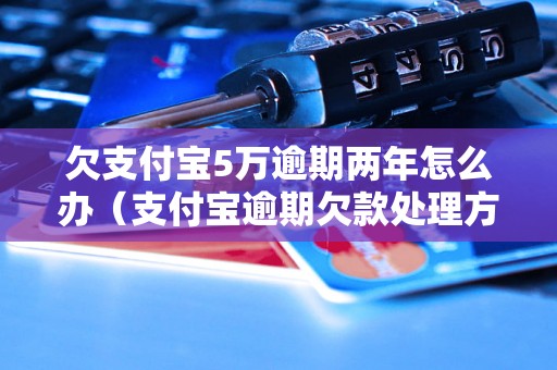 欠支付宝5万逾期两年怎么办（支付宝逾期欠款处理方法详解）