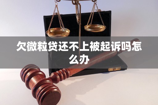 欠微粒贷还不上被起诉吗怎么办