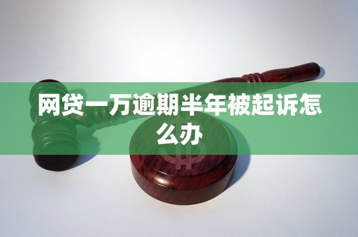 网贷一万逾期半年被起诉怎么办