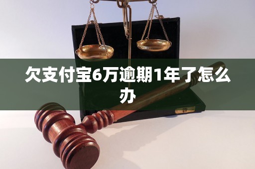 欠支付宝6万逾期1年了怎么办