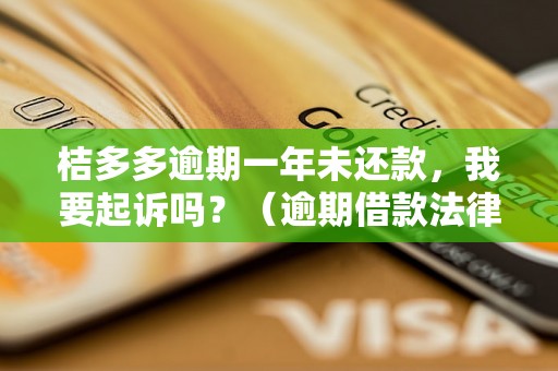 桔多多逾期一年未还款，我要起诉吗？（逾期借款法律责任及起诉流程）