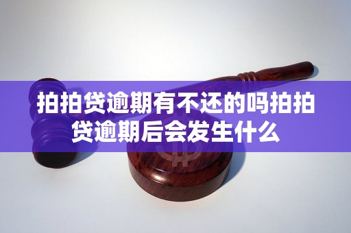 拍拍贷逾期有不还的吗拍拍贷逾期后会发生什么