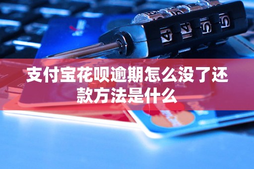 支付宝花呗逾期怎么没了还款方法是什么