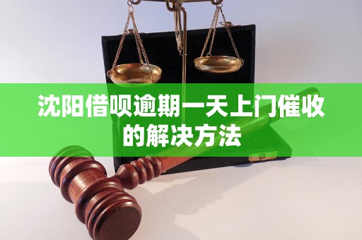 沈阳借呗逾期一天上门催收的解决方法