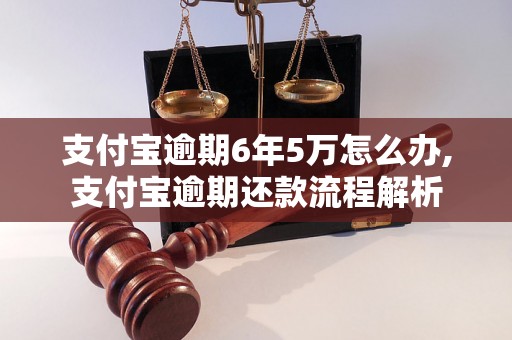 支付宝逾期6年5万怎么办,支付宝逾期还款流程解析