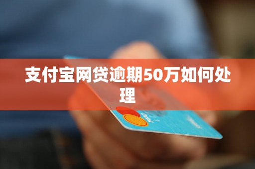 支付宝网贷逾期50万如何处理