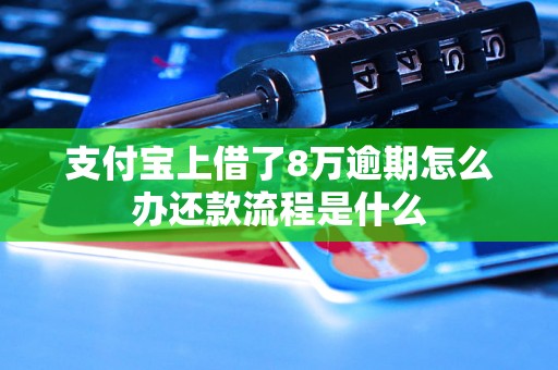 支付宝上借了8万逾期怎么办还款流程是什么